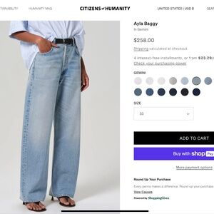 Citizens of Humanity Ayla Baggy Jean in Gemini (Size 33)